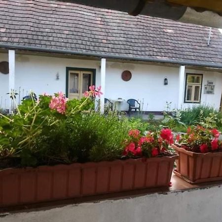 Terez Haza Otel Pazmand Dış mekan fotoğraf