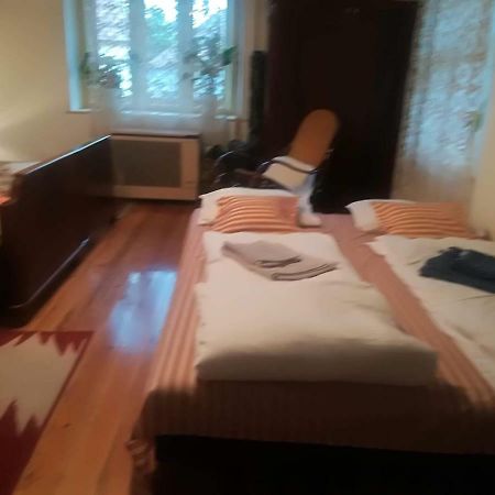 Terez Haza Otel Pazmand Dış mekan fotoğraf