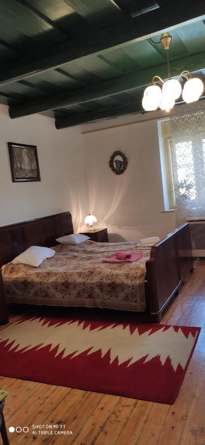 Terez Haza Otel Pazmand Dış mekan fotoğraf