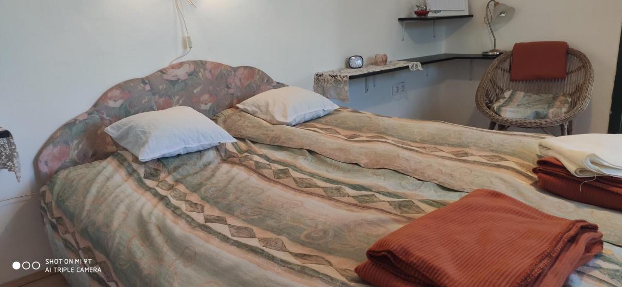 Terez Haza Otel Pazmand Dış mekan fotoğraf