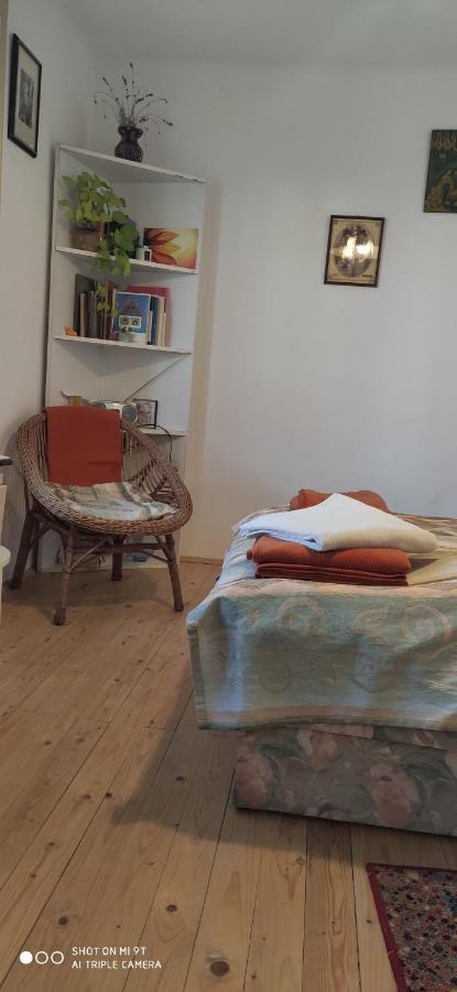 Terez Haza Otel Pazmand Dış mekan fotoğraf
