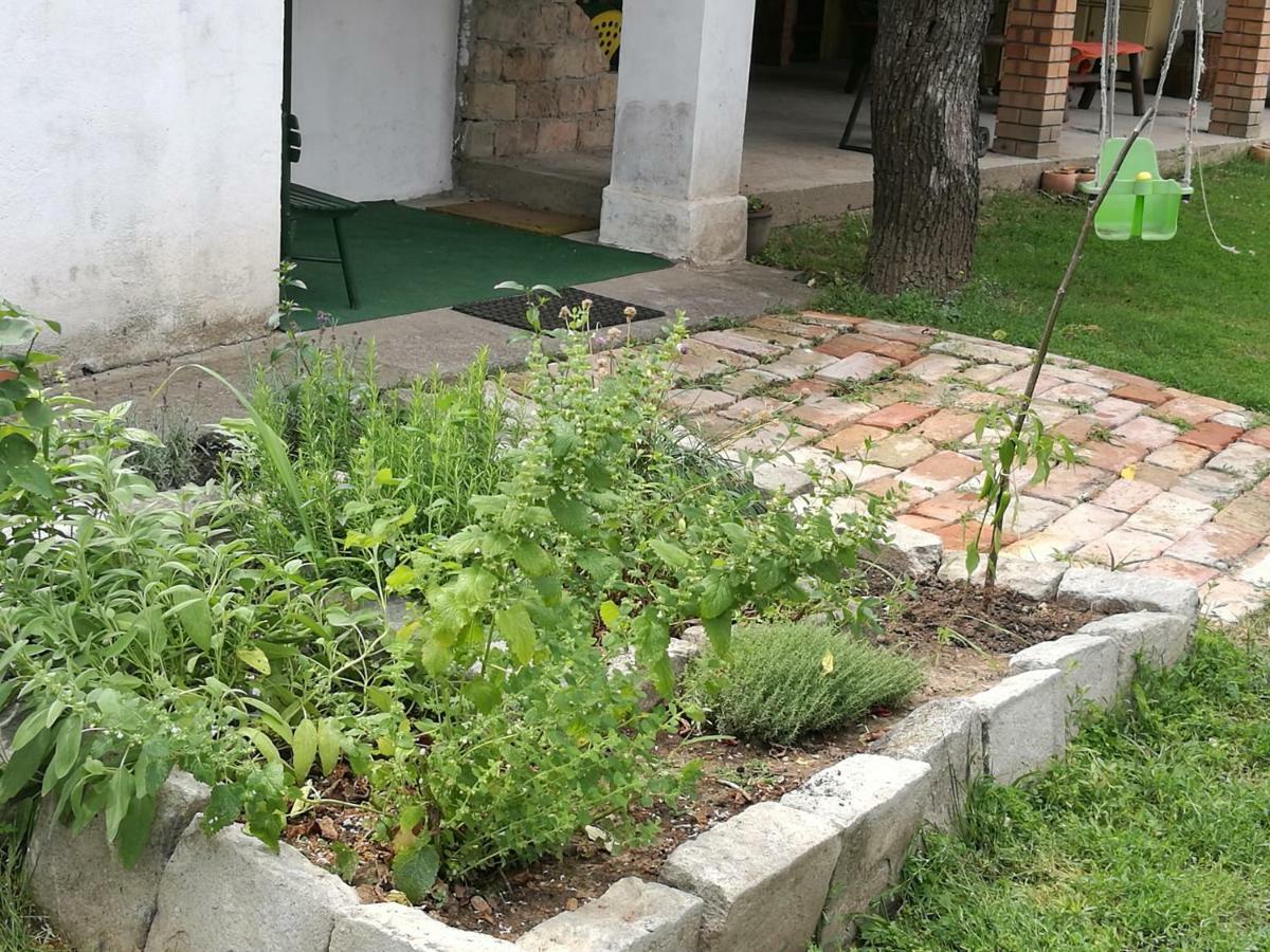 Terez Haza Otel Pazmand Dış mekan fotoğraf